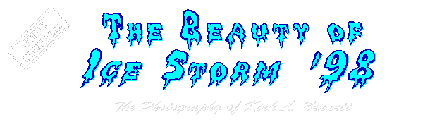 The Beauty of Ice Storm '98 - The photography of Kirk L. Bennett