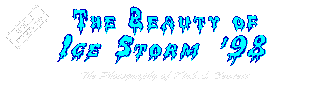 The Beauty of Ice Storm '98 - The Photography of Kirk L. Bennett